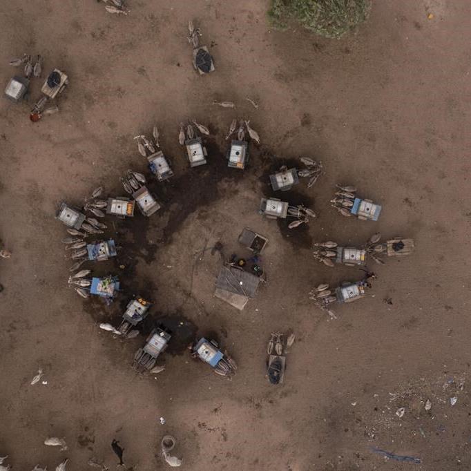 Pastoralists have raised livestock in harsh climates for millennia. What can they teach us today?